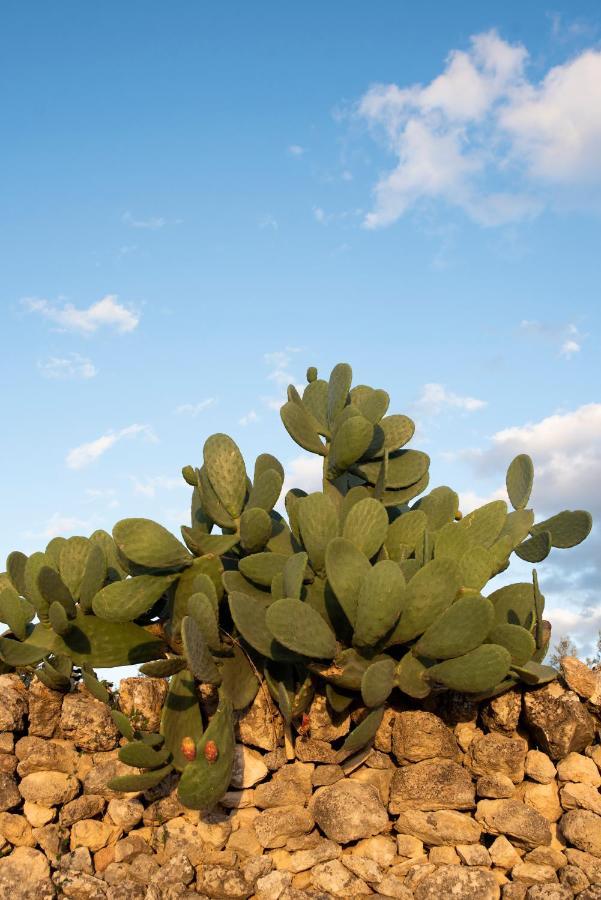 Antica Masseria Le Monache Grottaglie Esterno foto